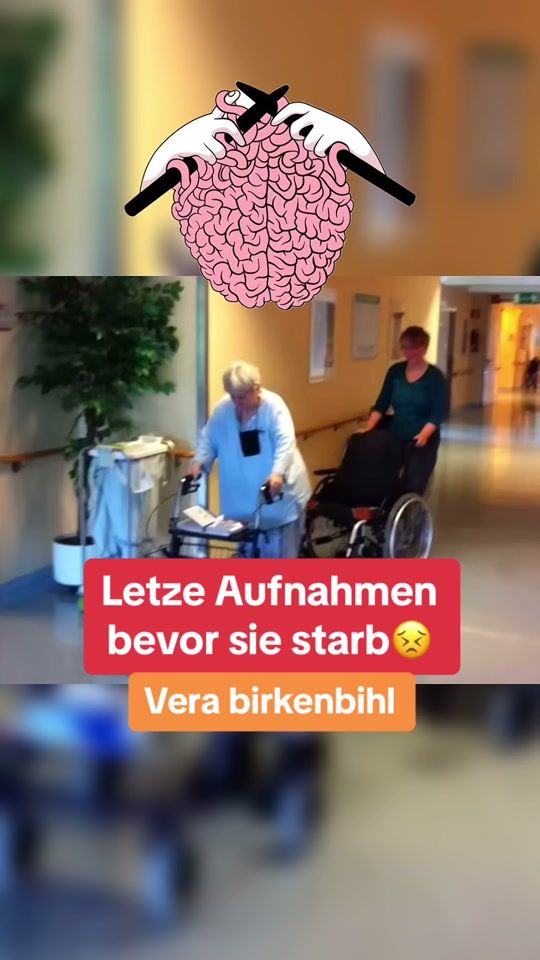 TikTok video thumbnail by birkenbilhclips