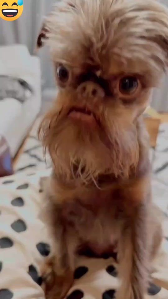 TikTok video thumbnail by yoyoni01