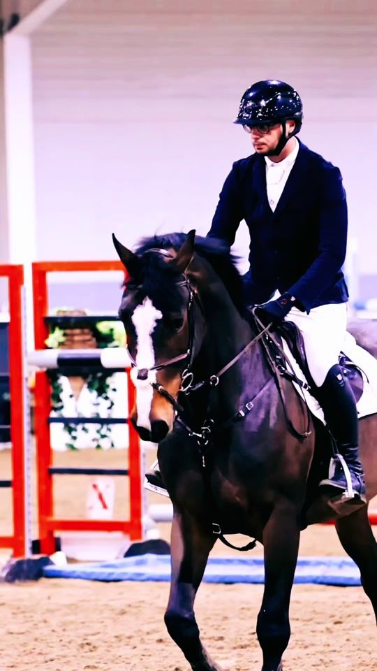 TikTok video thumbnail by cdt_equestrian