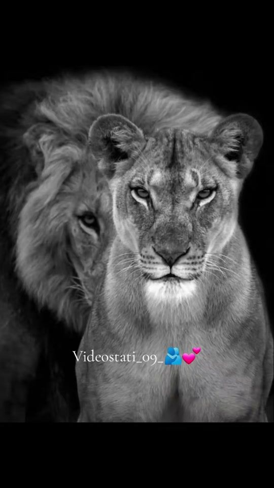 TikTok video thumbnail by videostati_09_