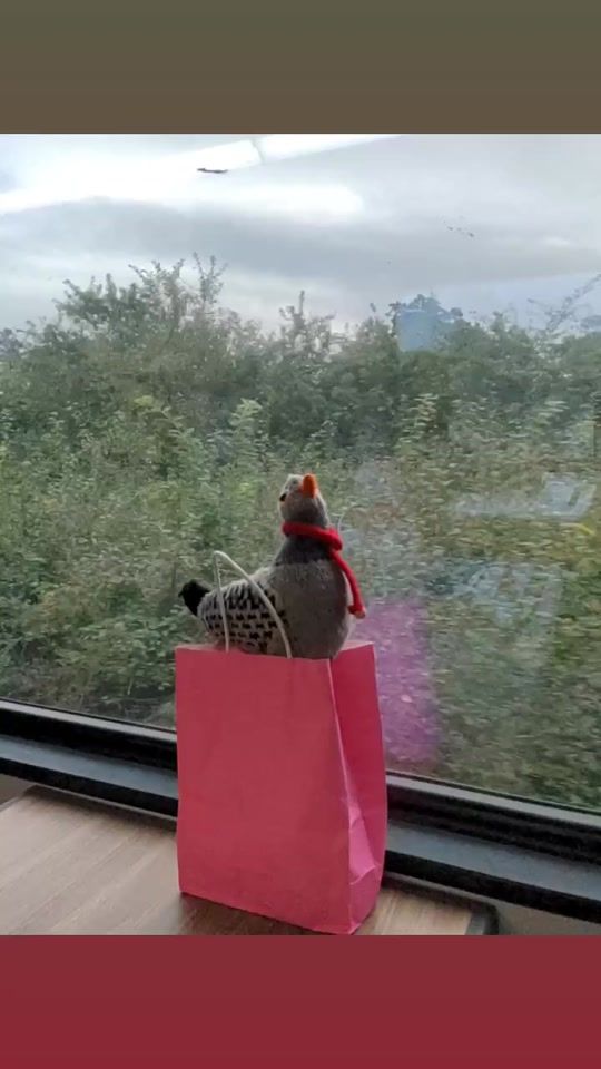 TikTok video thumbnail by so_sha.mp3