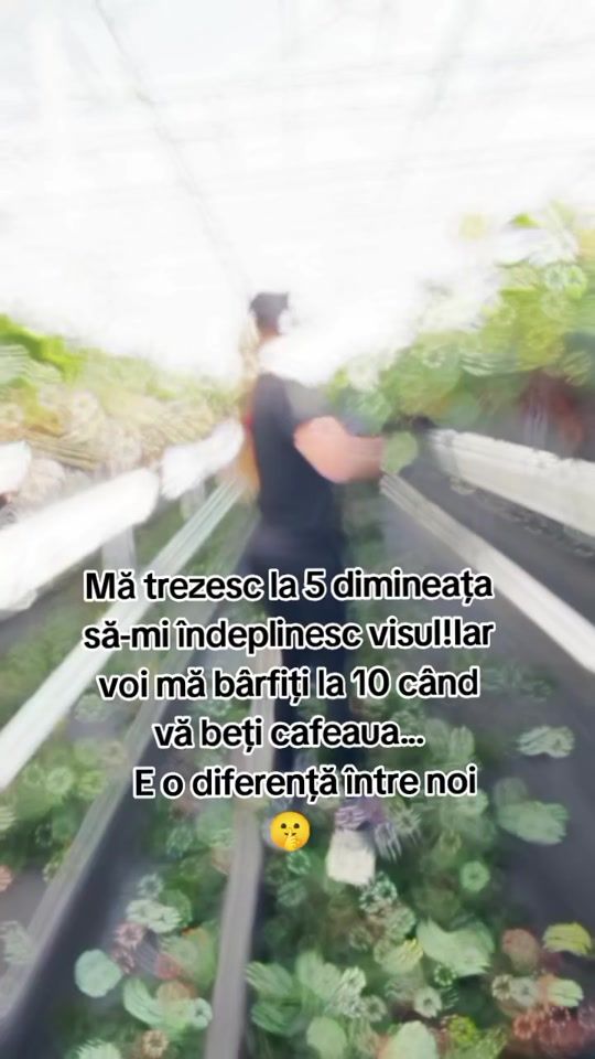 TikTok video thumbnail by amaliadaneliuc90