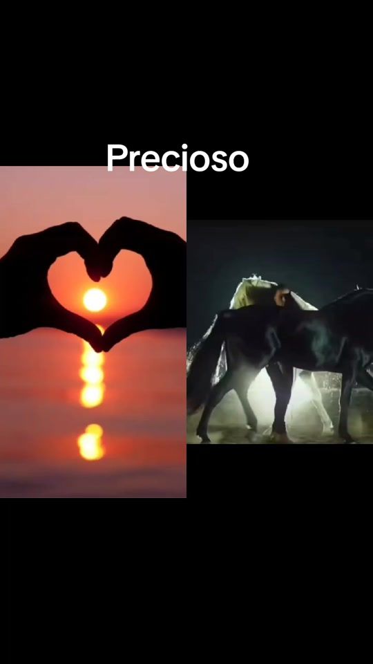 TikTok video thumbnail by saluky24