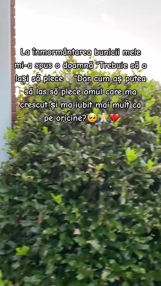 TikTok video thumbnail by _princess_.99