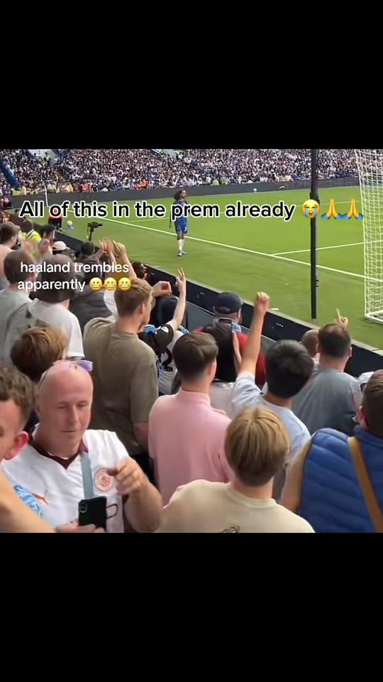 TikTok video thumbnail by reallychell