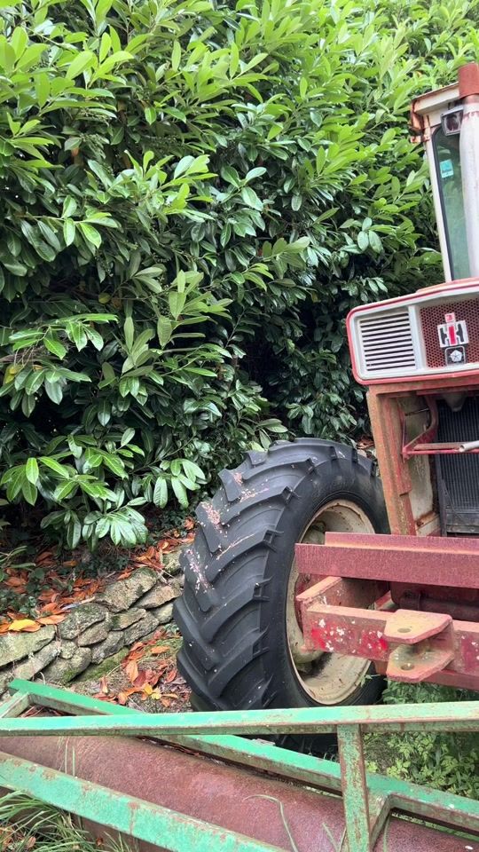 TikTok video thumbnail by vic1455xl