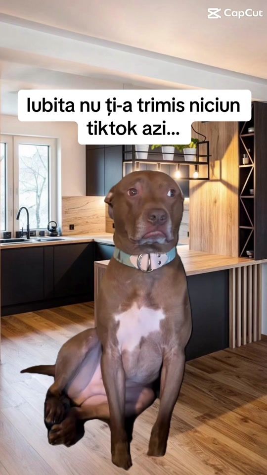 TikTok video thumbnail by dolothecat