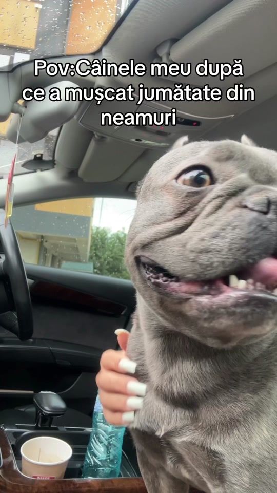 TikTok video thumbnail by xxpurpleuniiiixx