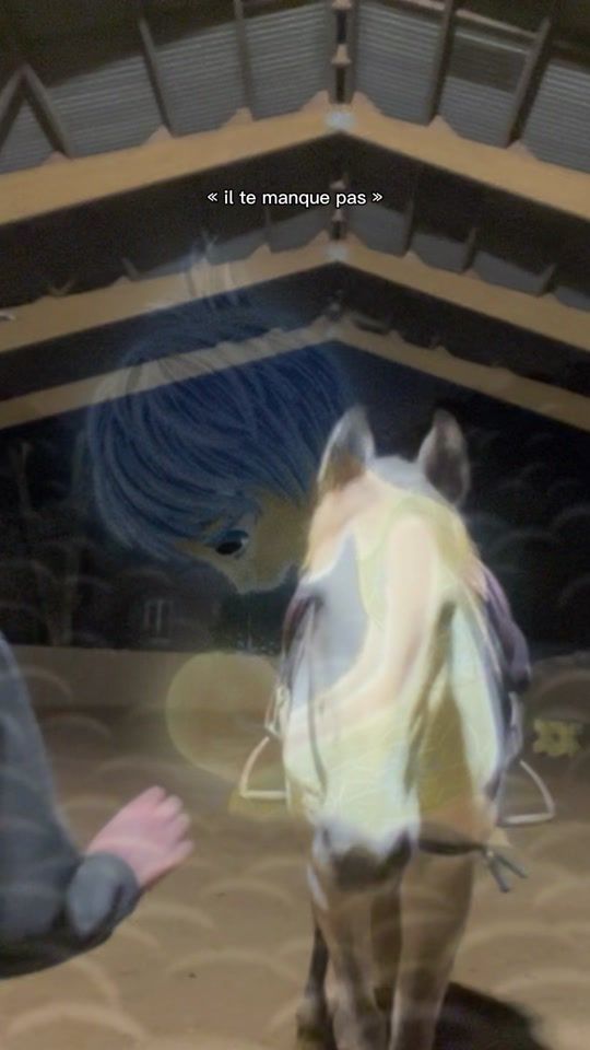 TikTok video thumbnail by lucie_plx