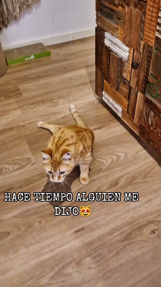 TikTok video thumbnail by obi_ohana