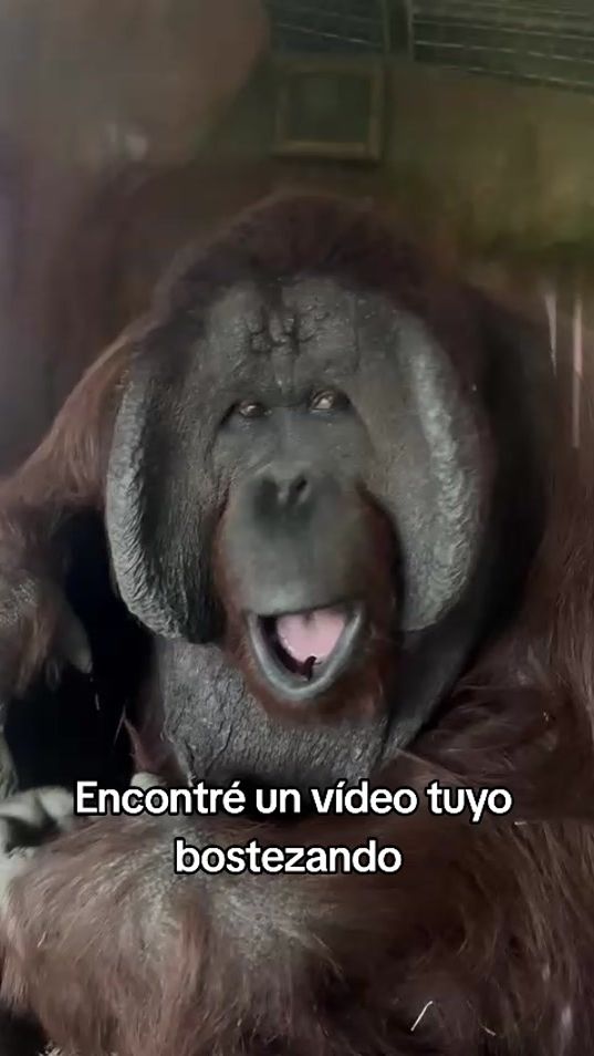 TikTok video thumbnail by aarriieell.b