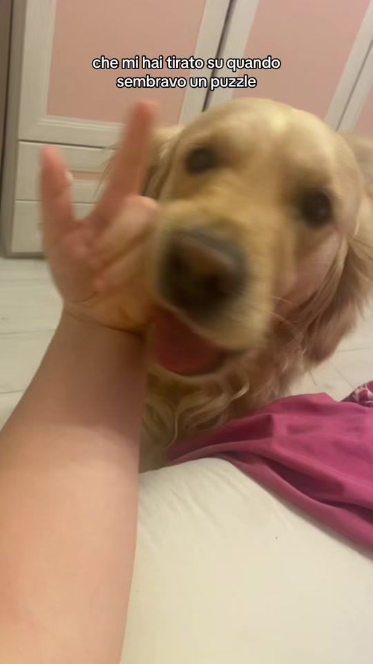 TikTok video thumbnail by saramonaghan