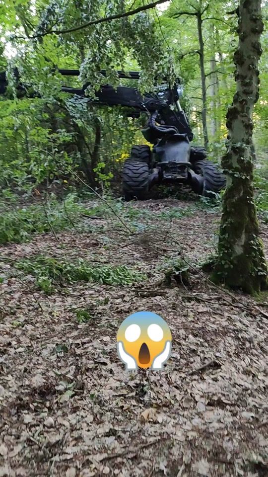 TikTok video thumbnail by treneratom