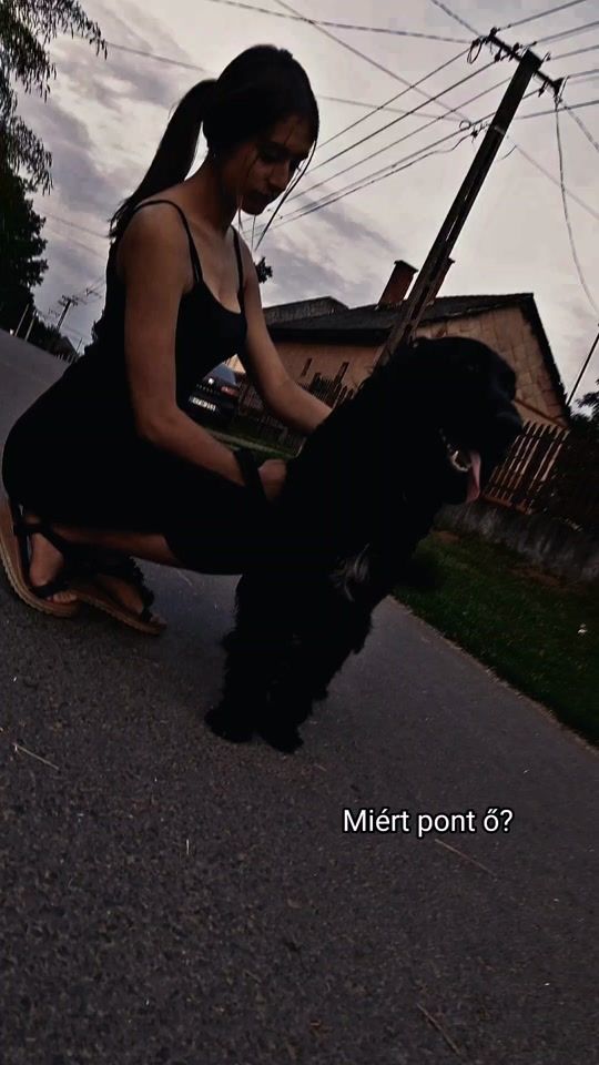 TikTok video thumbnail by bius_62
