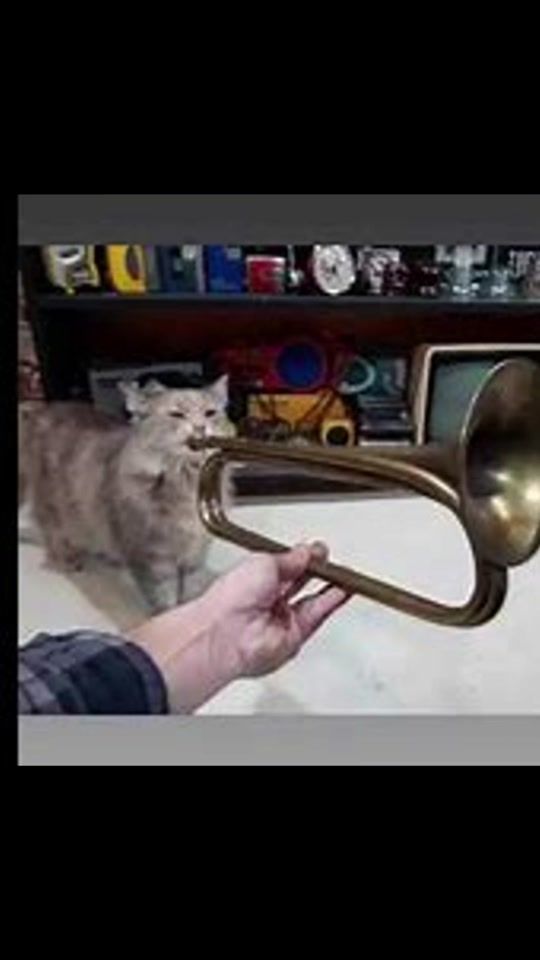 TikTok video thumbnail by secrets.srnit