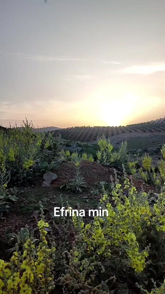 TikTok video thumbnail by ciyayekurdaxe