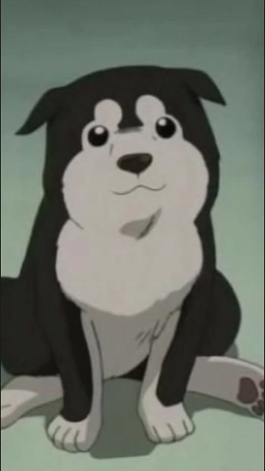 TikTok video thumbnail by raven280522