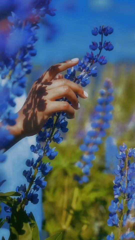 TikTok video thumbnail by shroz__esthic