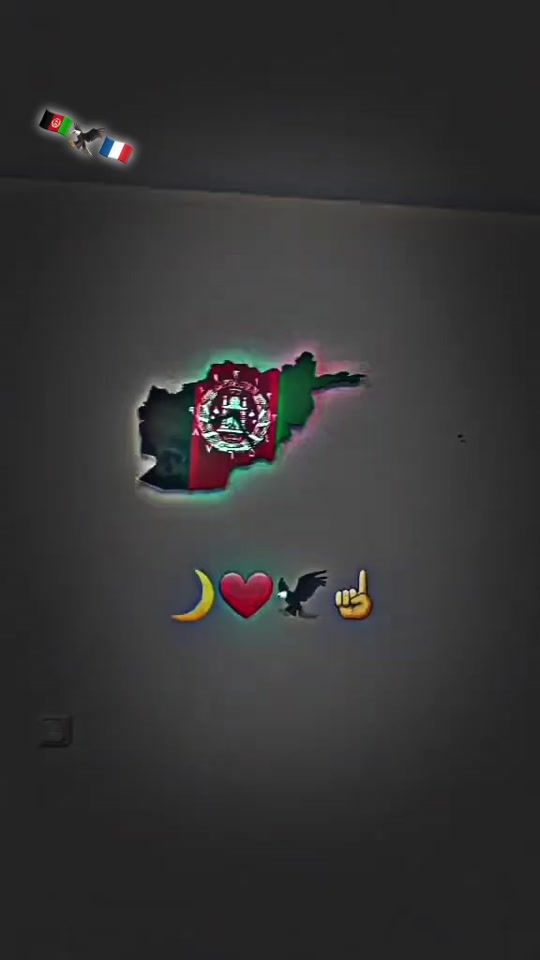 TikTok video thumbnail by itx_boxer03