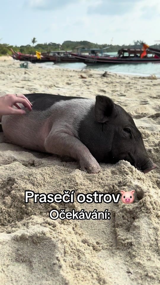 TikTok video thumbnail by _dryndova_