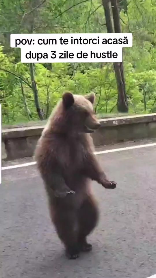 TikTok video thumbnail by ctk0714