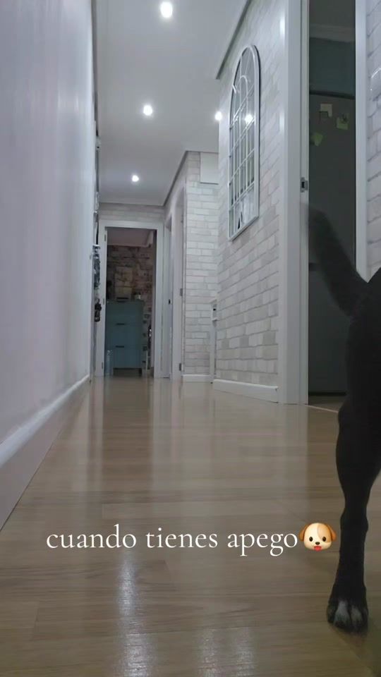 TikTok video thumbnail by mia_miisima22