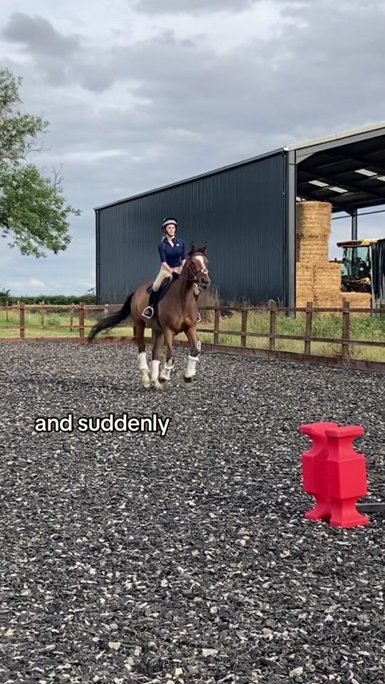 TikTok video thumbnail by loganblisseventing