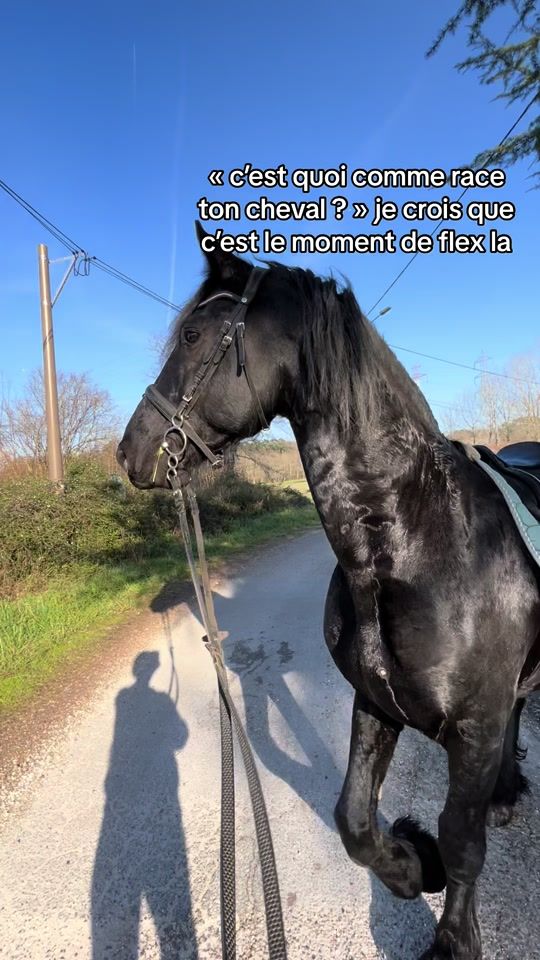 TikTok video thumbnail by diamante._nero