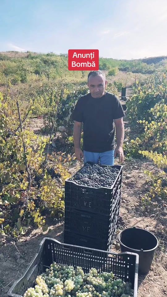 TikTok video thumbnail by damian.covalski