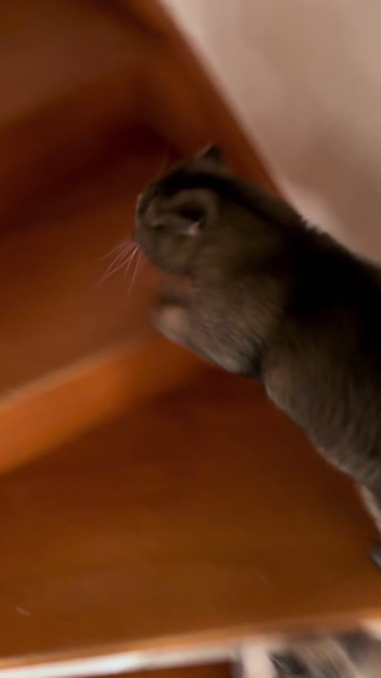 TikTok video thumbnail by 6_guys_
