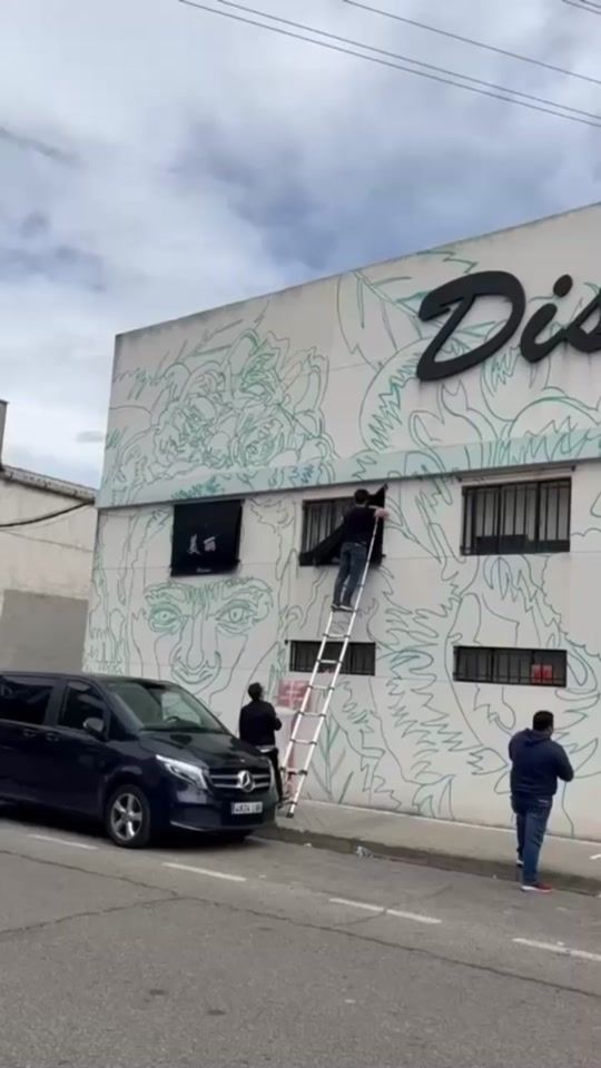 TikTok video thumbnail by madridisena