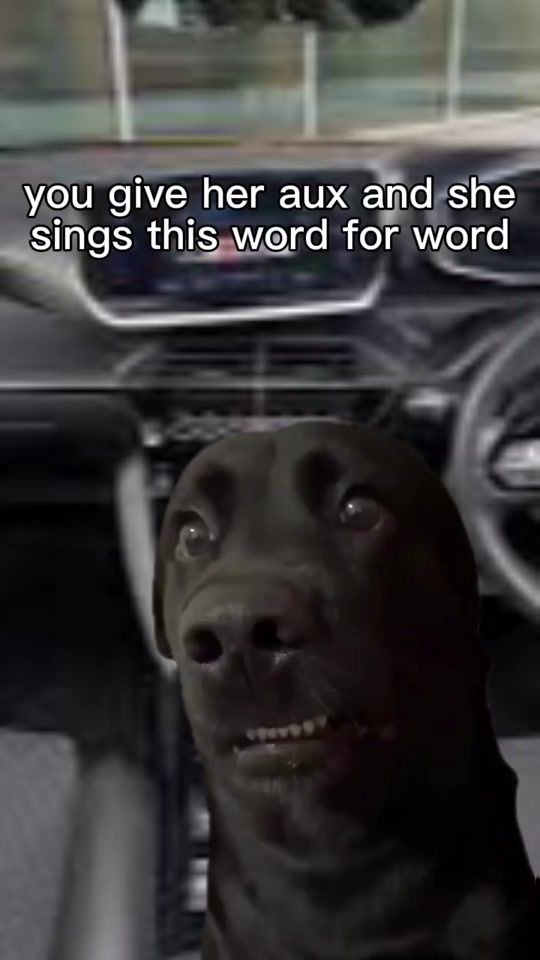 TikTok video thumbnail by tunez4ya