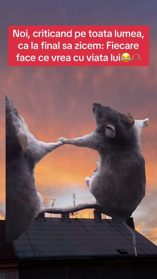 TikTok video thumbnail by aleynahersonly