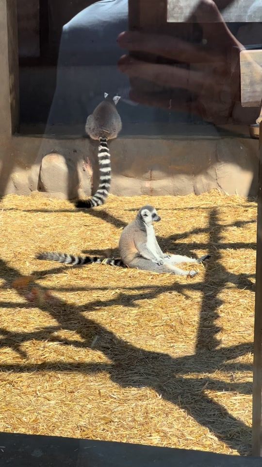 TikTok video thumbnail by kallumwarman