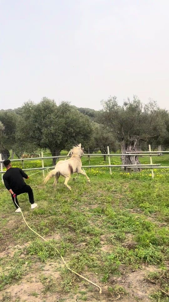 TikTok video thumbnail by pelaggi.g19