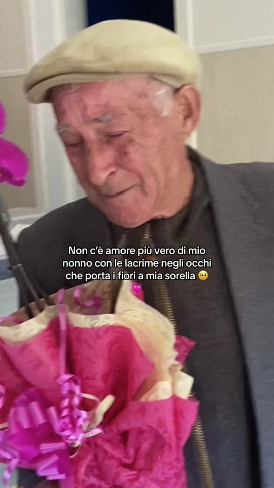 TikTok video thumbnail by newfashiondogboutique