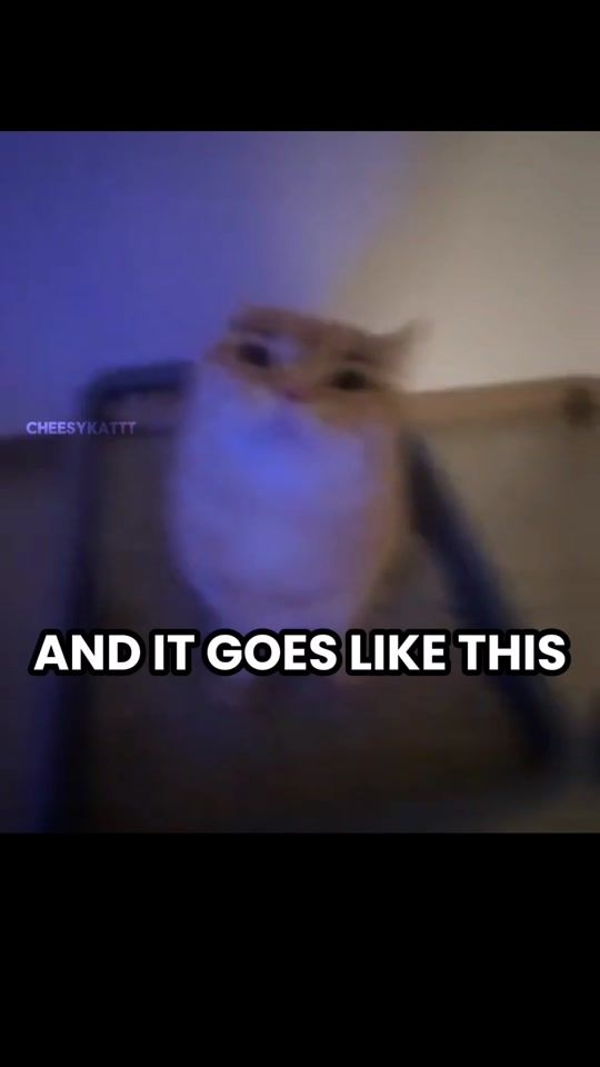 TikTok video thumbnail by cheesykattt