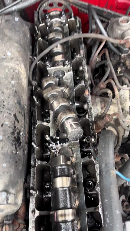 TikTok video thumbnail by scottyfairno