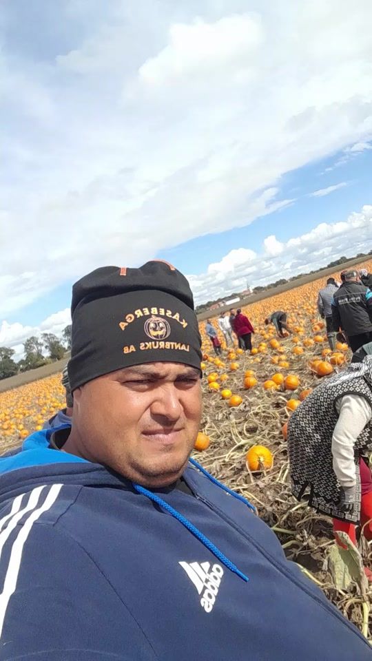 TikTok video thumbnail by codrut_oana