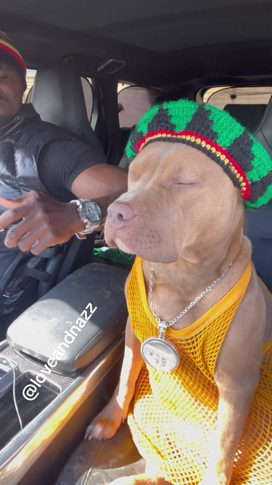 TikTok video thumbnail by loveandnazofficial