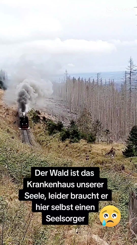 TikTok video thumbnail by renatce