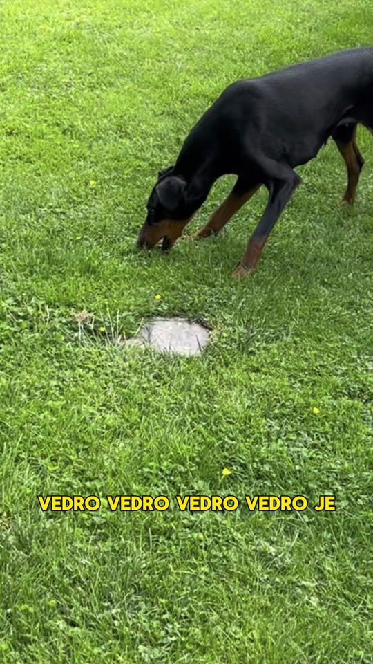 TikTok video thumbnail by lukyasendynka