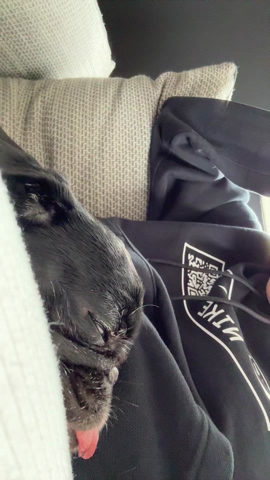 TikTok video thumbnail by pidiyt