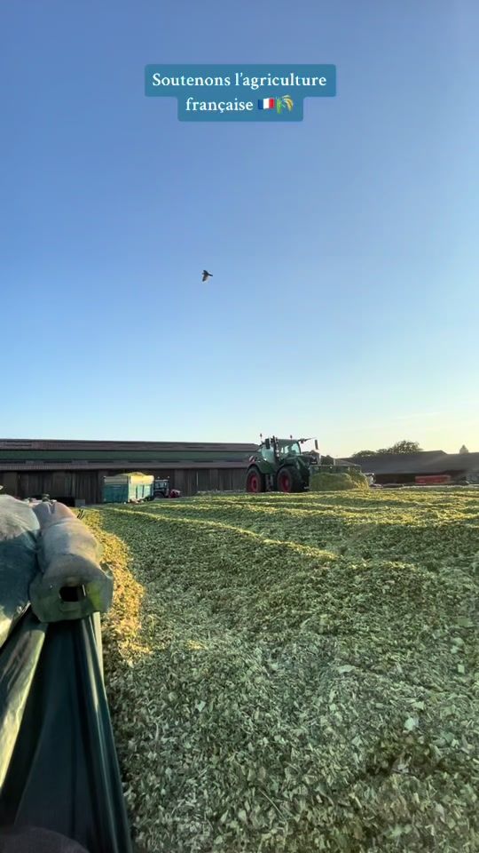 TikTok video thumbnail by loloo_agri