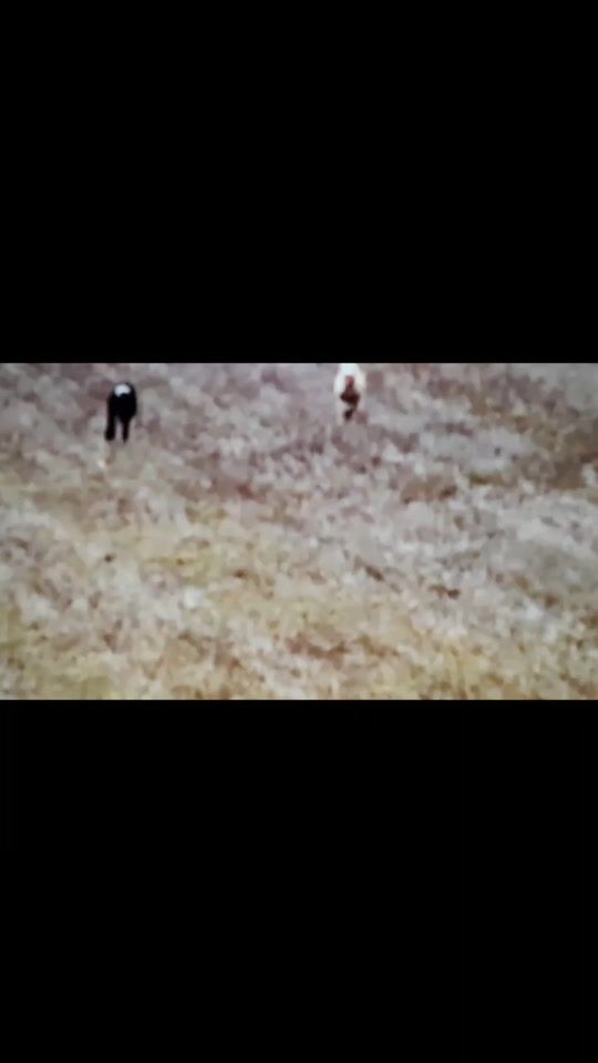 TikTok video thumbnail by jilguerosy97