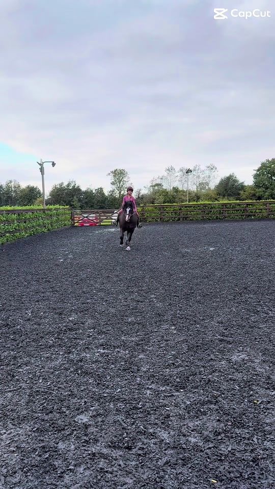 TikTok video thumbnail by isla5498