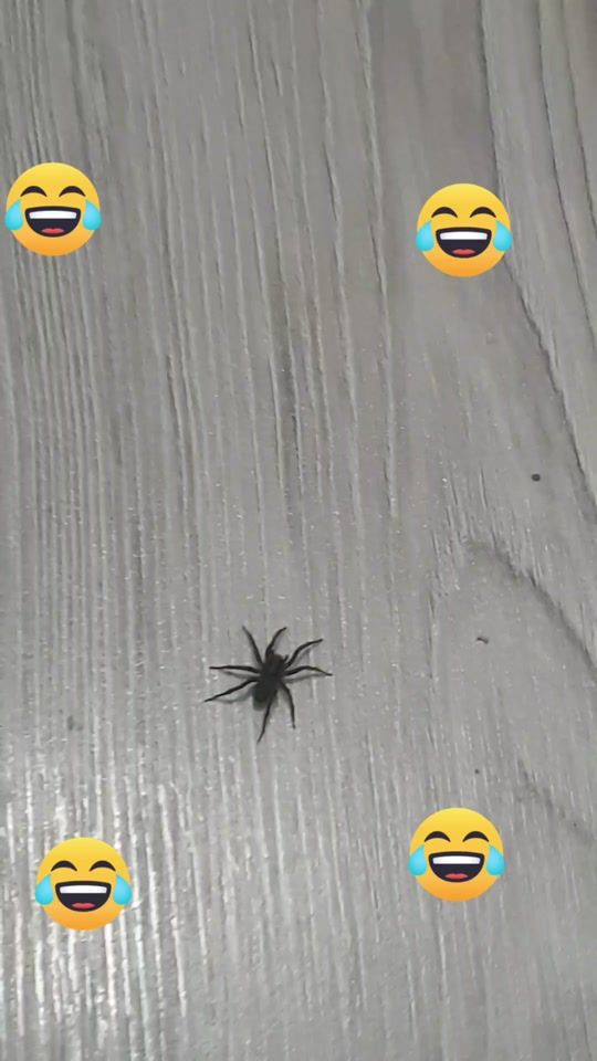 TikTok video thumbnail by gabi2_yyfa