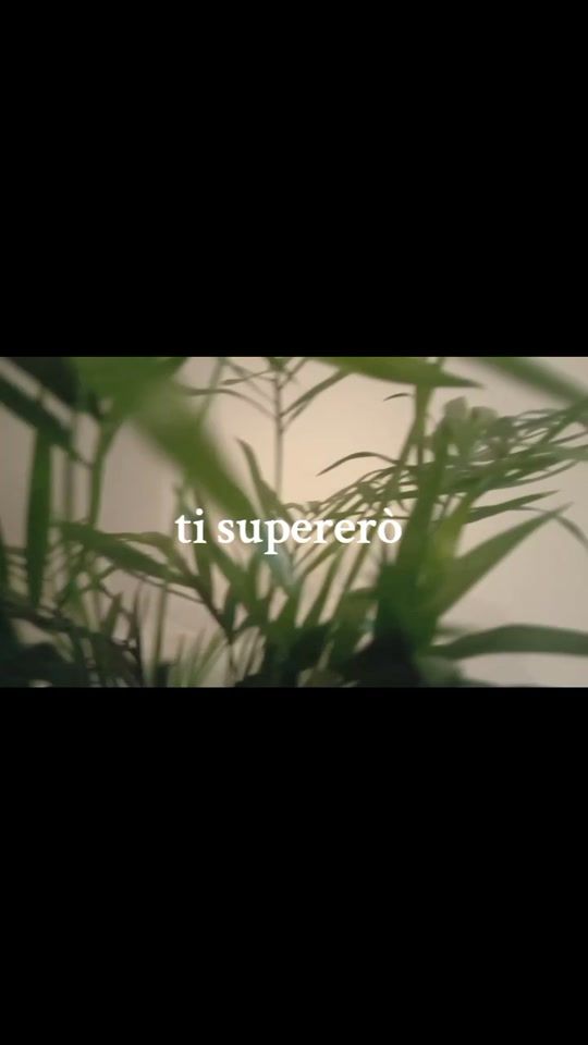 TikTok video thumbnail by canzoni.dediche