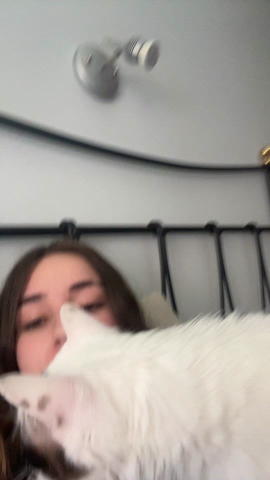 TikTok video thumbnail by lamonisifur