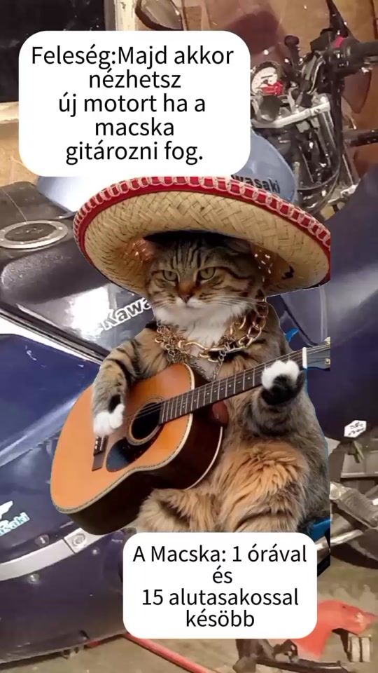 TikTok video thumbnail by ulaci79